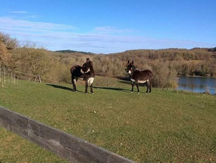 酒店 Auberge Du Balestié