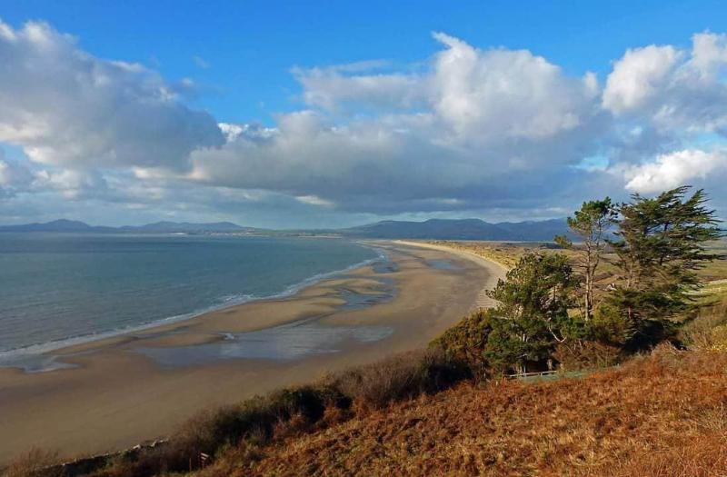 Отель Cadwgan House