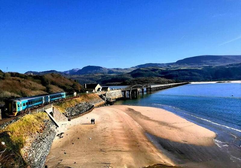 Отель Cadwgan House