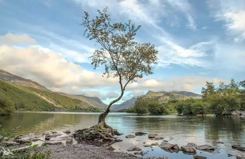 בית מלון כפרי Cadwgan House