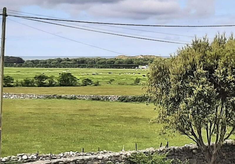 Отель Cadwgan House