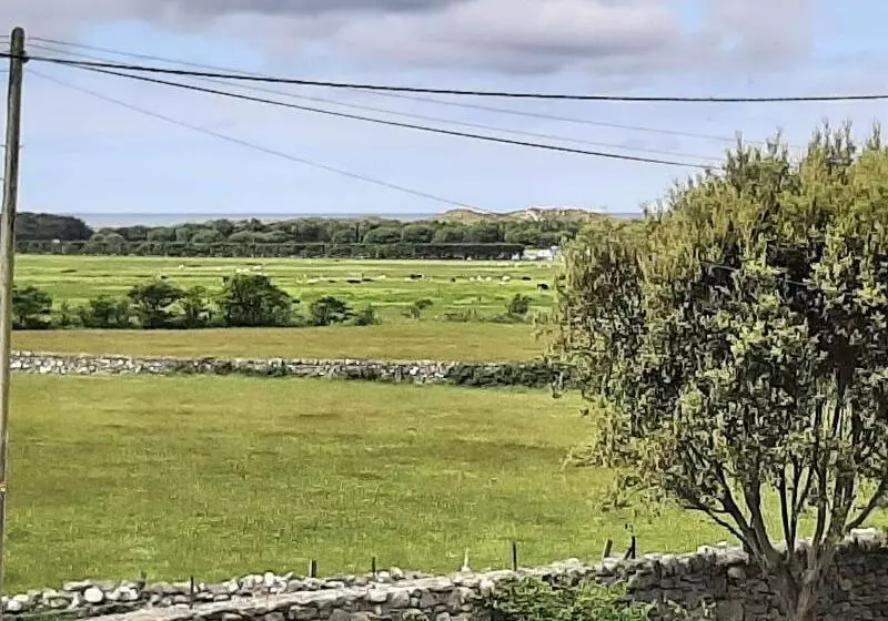 בית מלון כפרי Cadwgan House