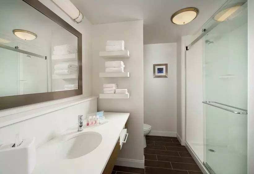 Hotel Hampton Inn & Suites Syracuse/carrier Circle