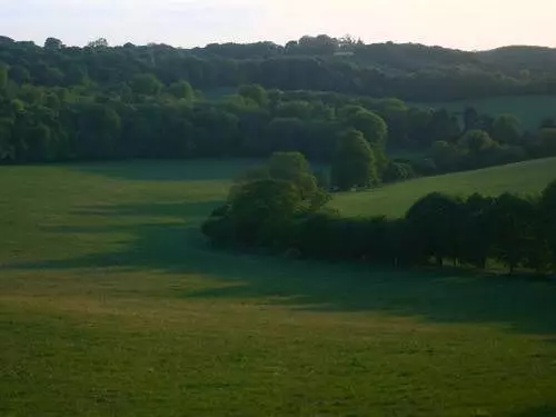 ホテル The Fat Fox