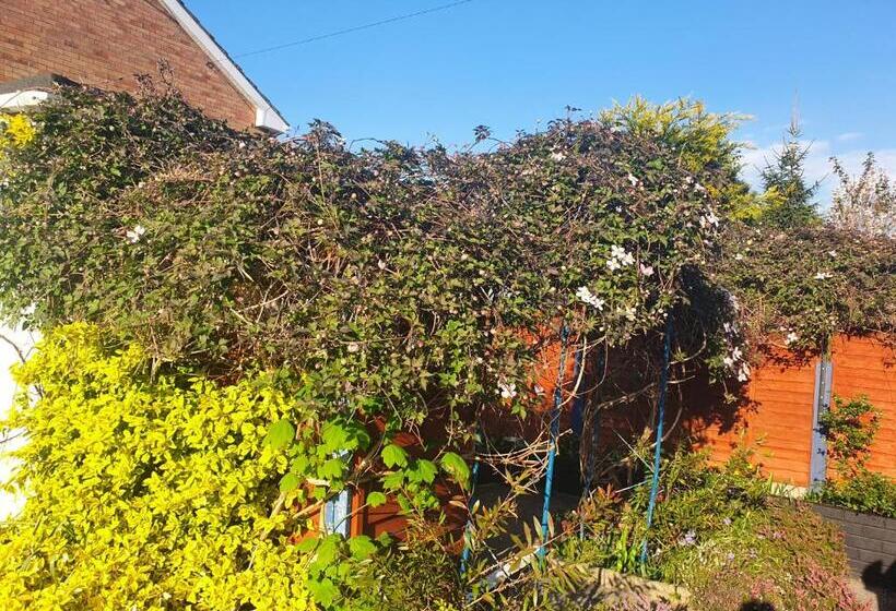 بنسيون Penryn Guest House, Ensuite Rooms, Free Parking And Free Wifi