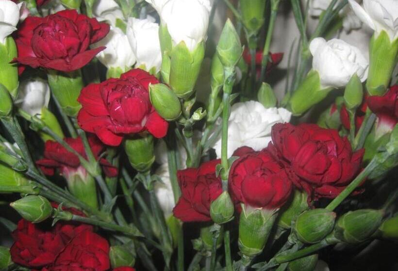 بنسيون Penryn Guest House, Ensuite Rooms, Free Parking And Free Wifi