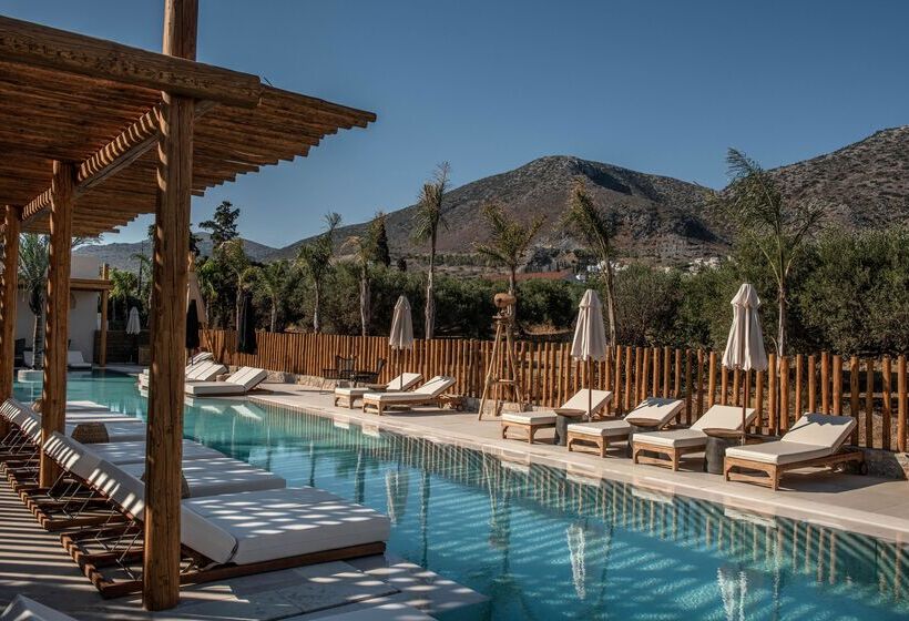 בית מלון כפרי Indigo Inn Casa Adults Only