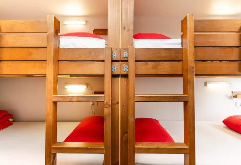 Hostel Haka House Bay Of Islands