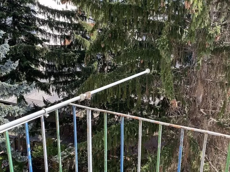 Altstadthaus Cityappartements