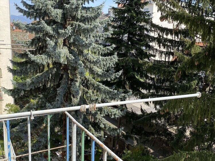 Altstadthaus Cityappartements