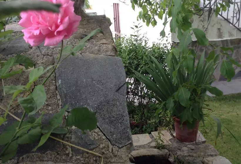 Complejo Rural Huerta Nevada