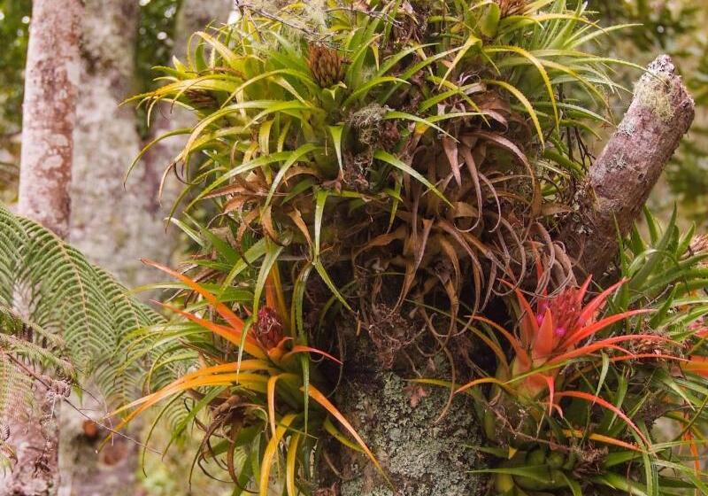 Craicor Boutique Apartments