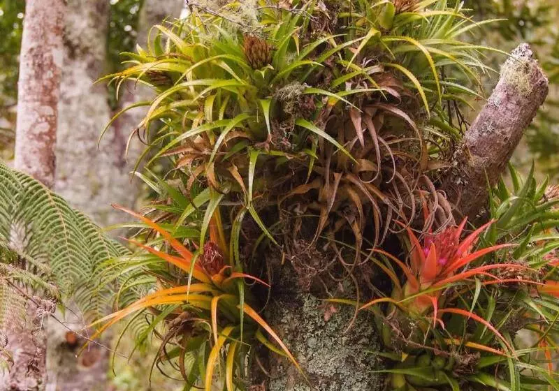 Craicor Boutique Apartments