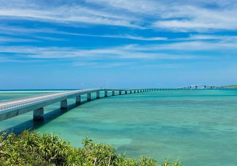 فندق Miyako Daiichi