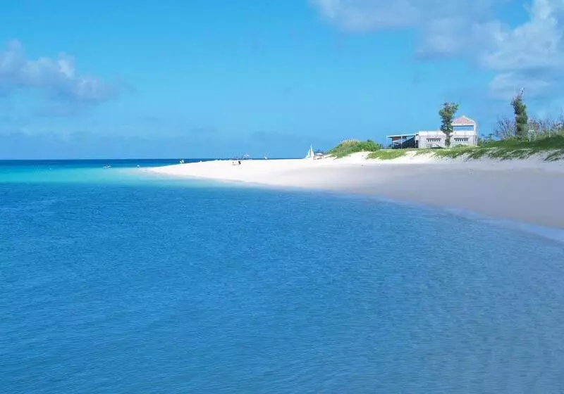 فندق Miyako Daiichi