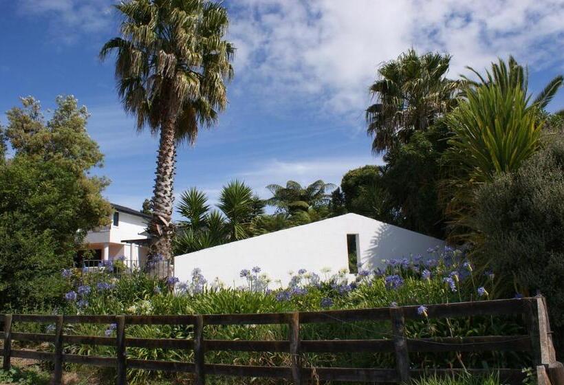 פנסיון 73 Milton Accommodation