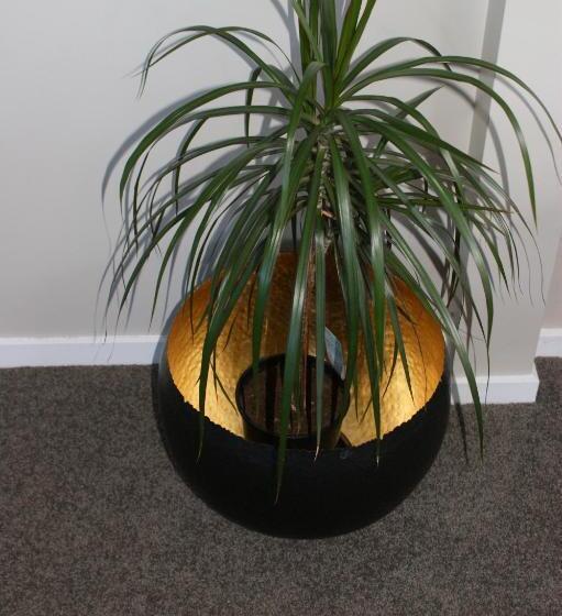 פנסיון 73 Milton Accommodation