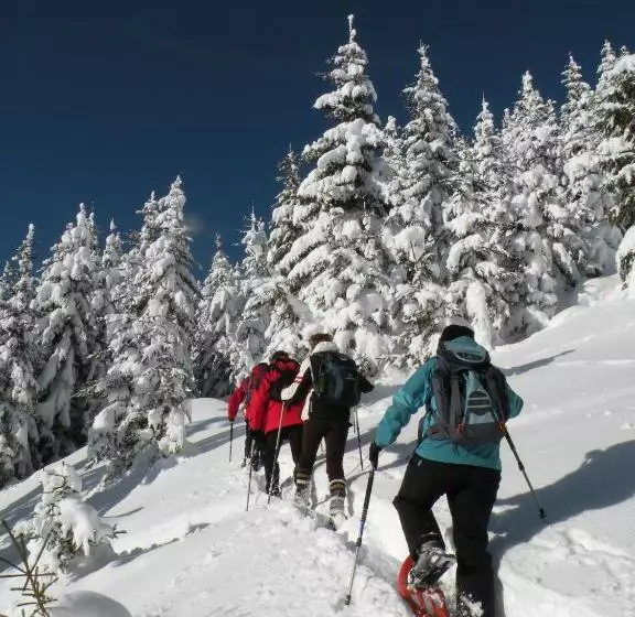 Premium Wanderhotel Steirerhof