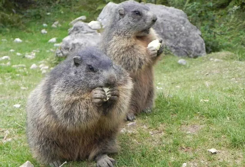 Premium Wanderhotel Steirerhof