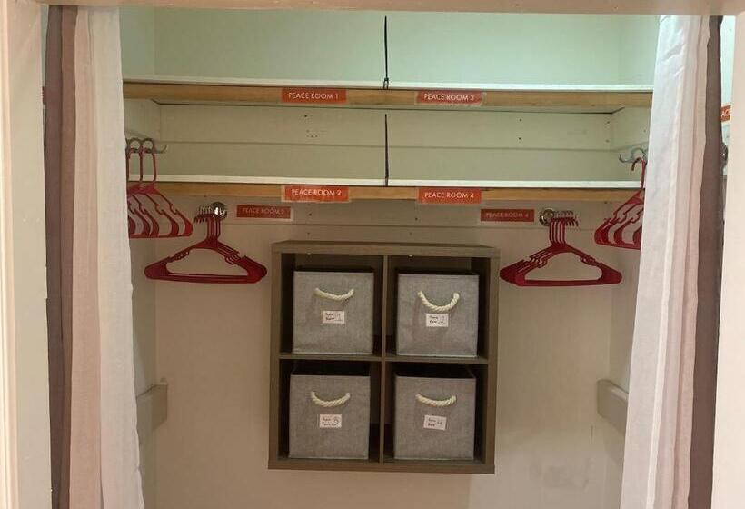 הוסטל Whole Family   Barrette