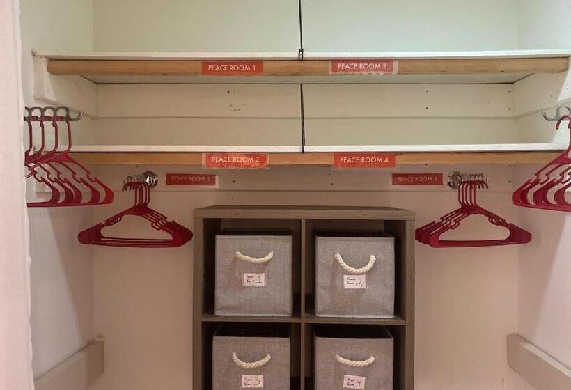 הוסטל Whole Family   Barrette