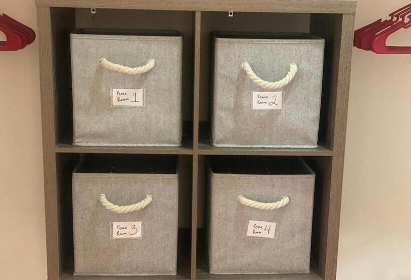 הוסטל Whole Family   Barrette