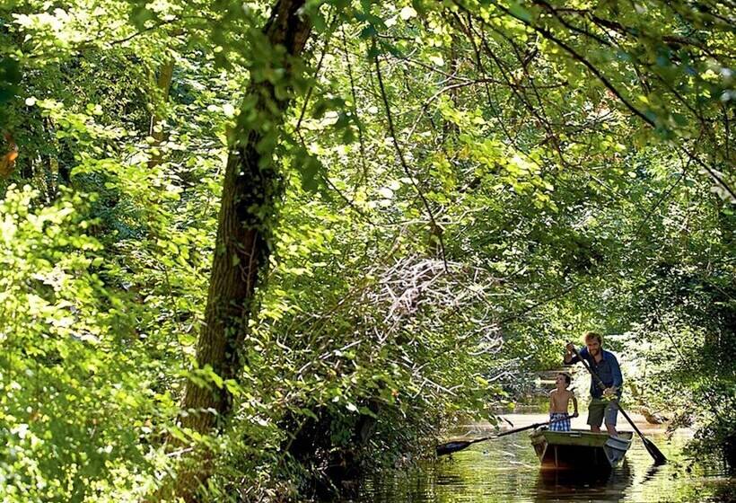 בית מלון כפרי Historic Venetian Style Castle In Piombino Dese With Pool