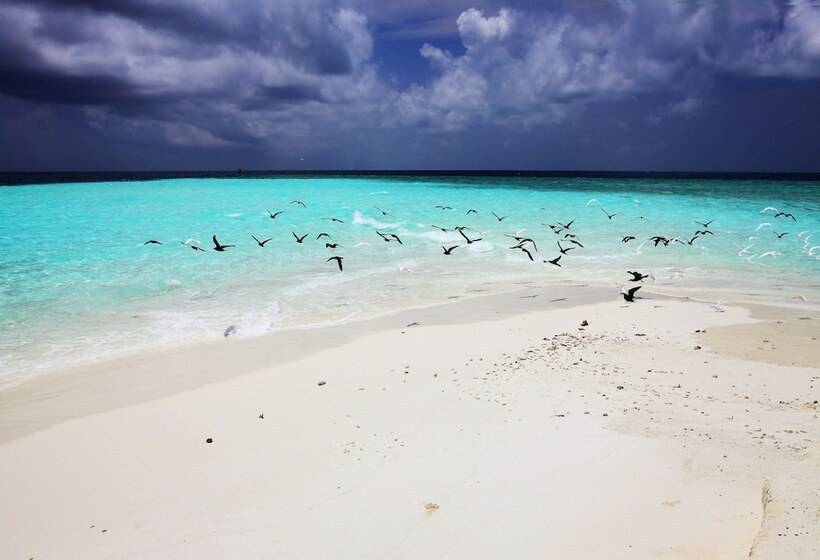 هتل Ocean Villa With Pool & Spa