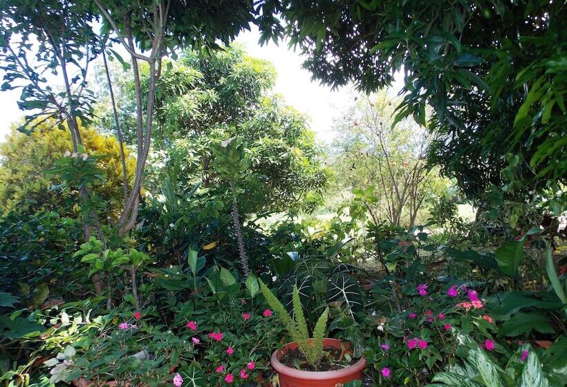 Pension Chez Perle Guest House