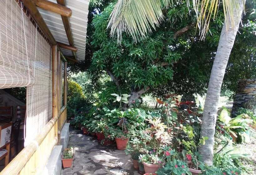 پانسیون Chez Perle Guest House
