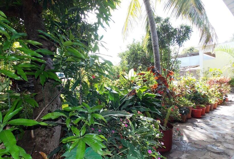 Pension Chez Perle Guest House