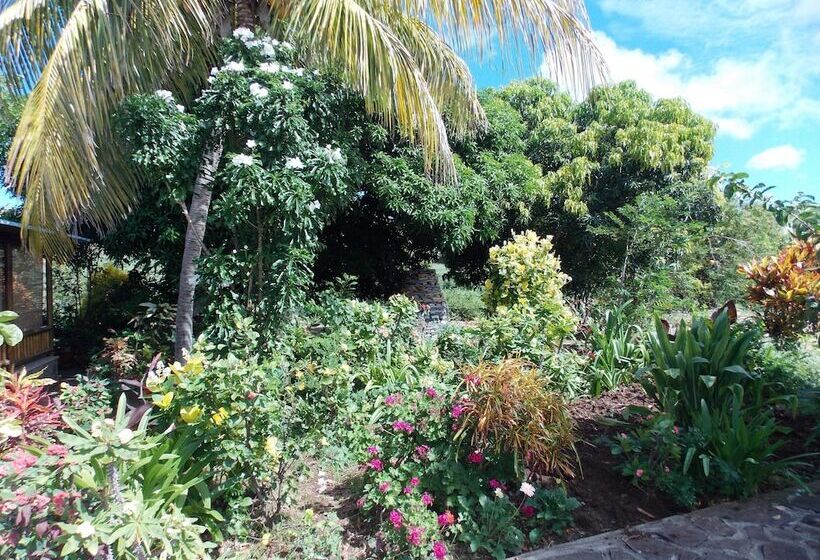 Pension Chez Perle Guest House