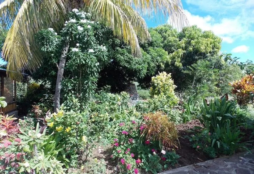 پانسیون Chez Perle Guest House