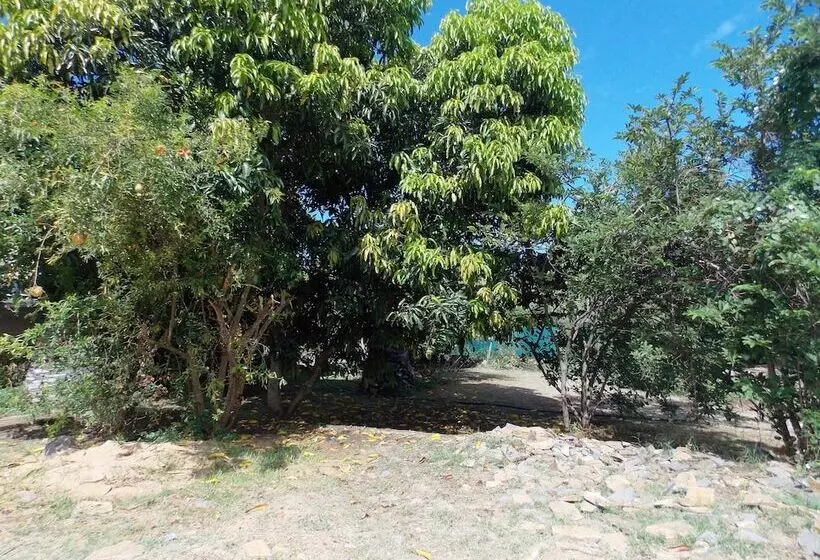 پانسیون Chez Perle Guest House