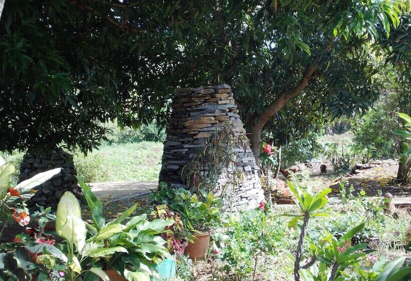 Pension Chez Perle Guest House