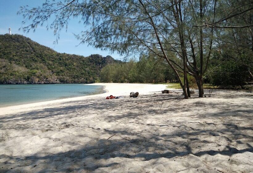 بنسيون Ocean Lodge