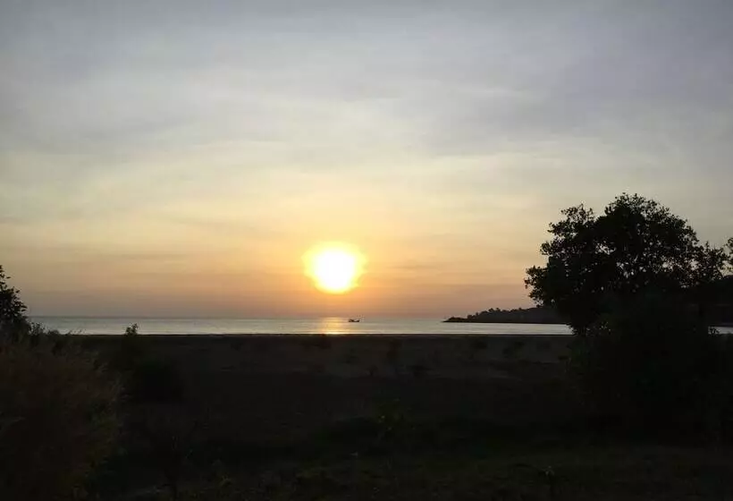 ペンション Ocean Lodge