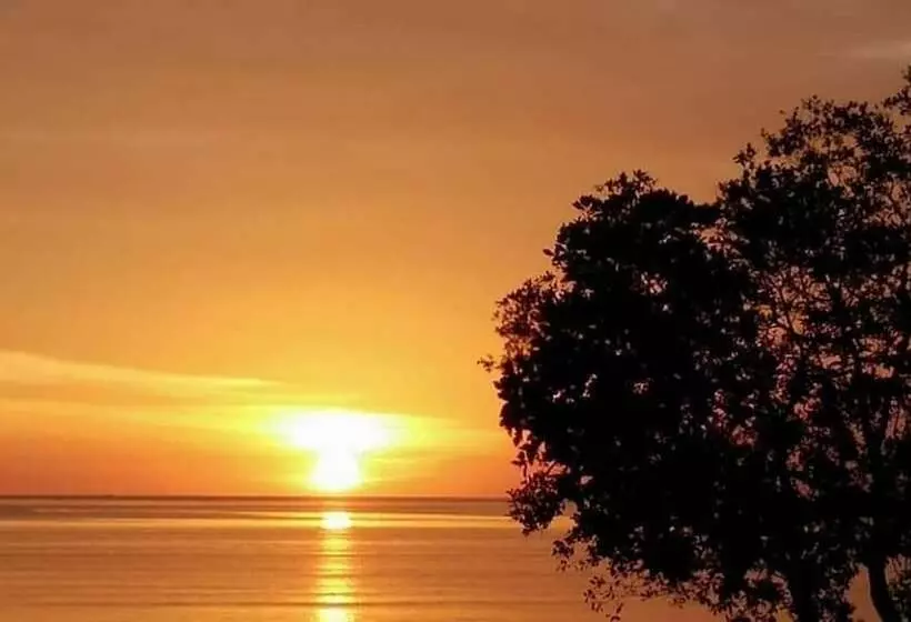 ペンション Ocean Lodge