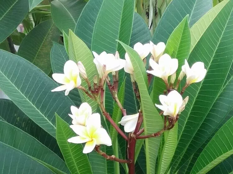 ペンション Ocean Lodge