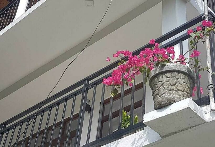 膳宿费 The Flipflop