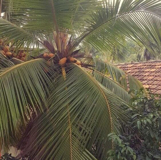 膳宿费 The Flipflop