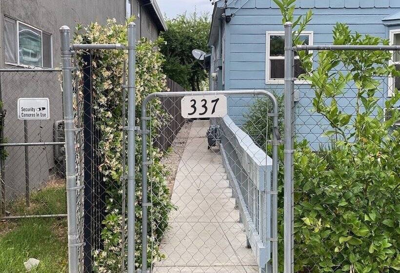 הוסטל Whole Family   Barrette