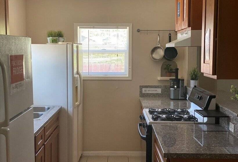 הוסטל Whole Family   Barrette