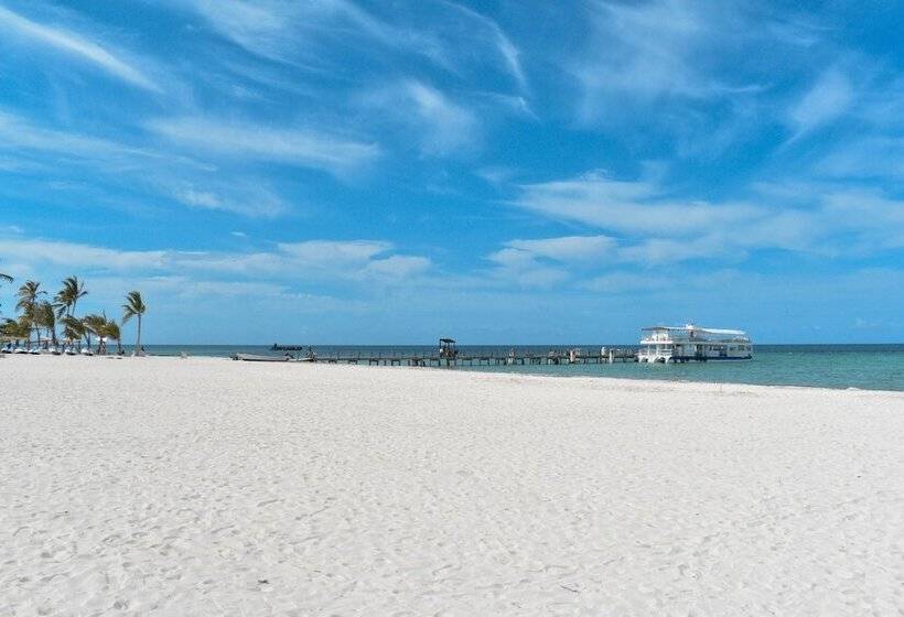 هتل Rosa Apartamento Compartido