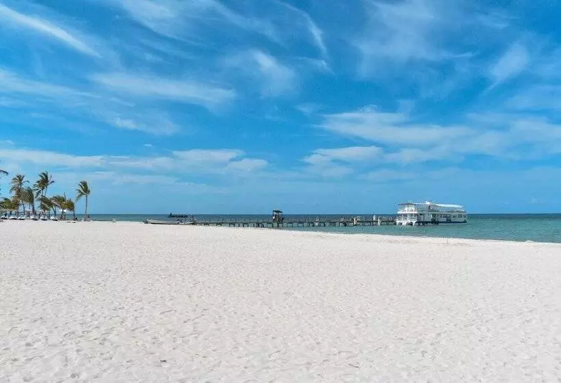 هتل Rosa Apartamento Compartido