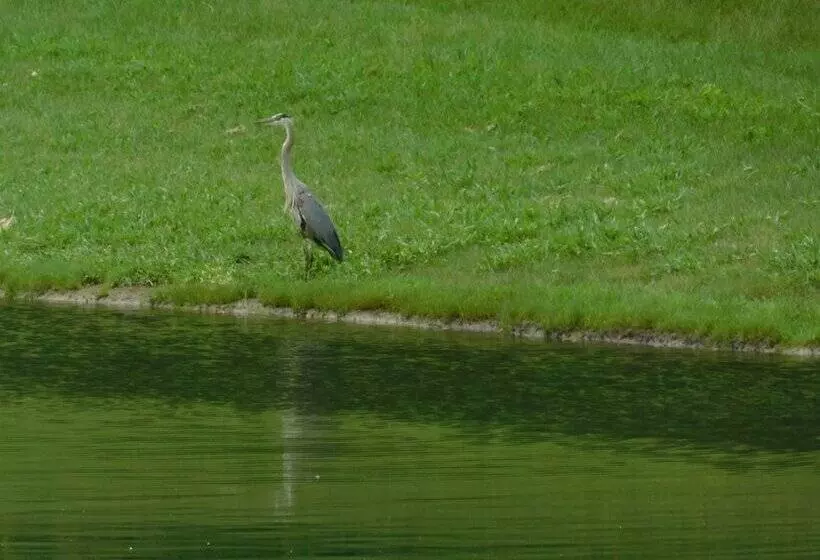 Aamiaismajoitus (B&B) Evonne S Sharing House