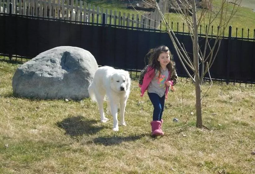 Aamiaismajoitus (B&B) Evonne S Sharing House