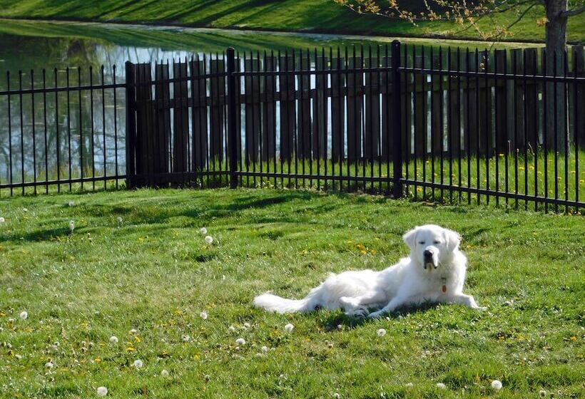 ベッドアンドブレックファースト Evonne S Sharing House