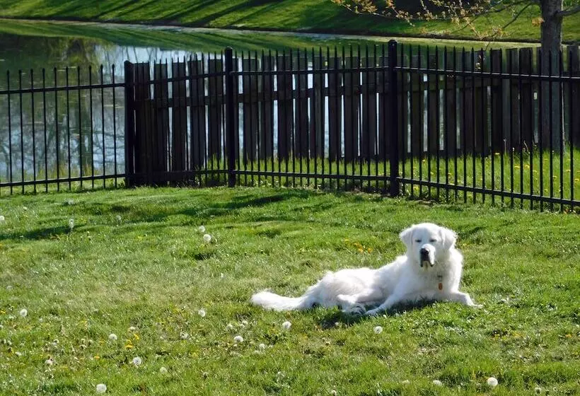 Aamiaismajoitus (B&B) Evonne S Sharing House