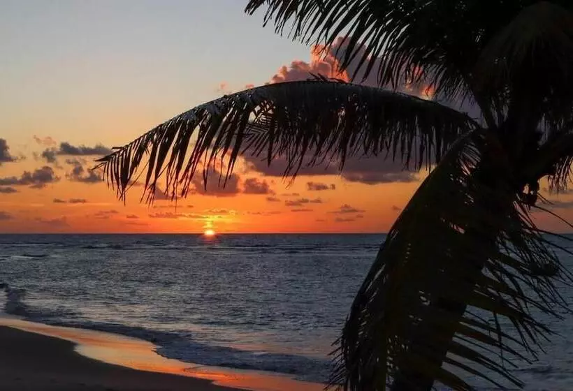 ホテル Pousada Praia De Guarajuba